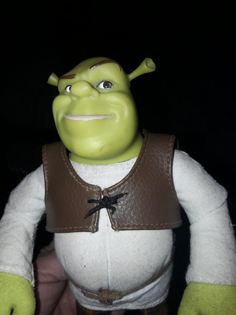 Shrek Usado 19 Cms