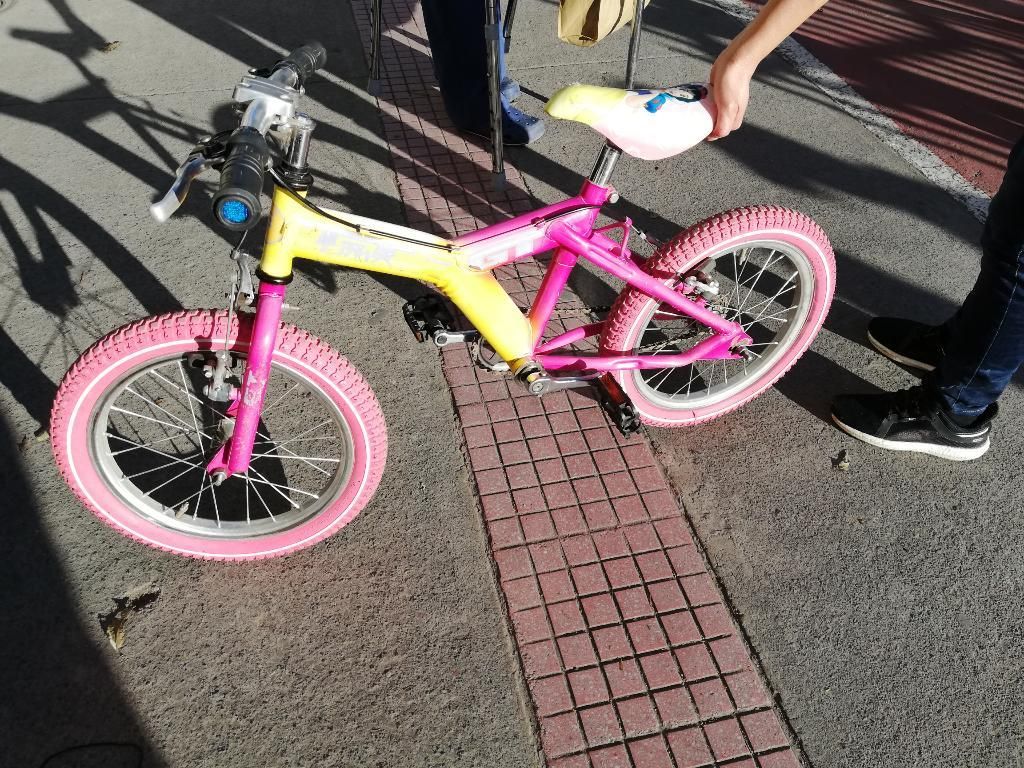 Bicicleta Niña Gt