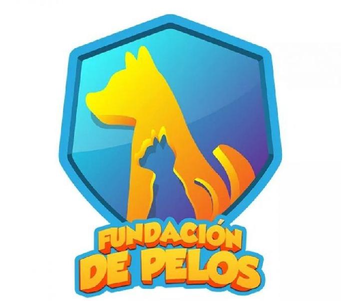 FUNDACIÓN DE PELOS!!!