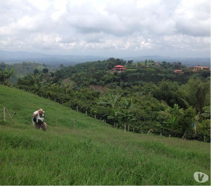 Finca en plena producción para la venta