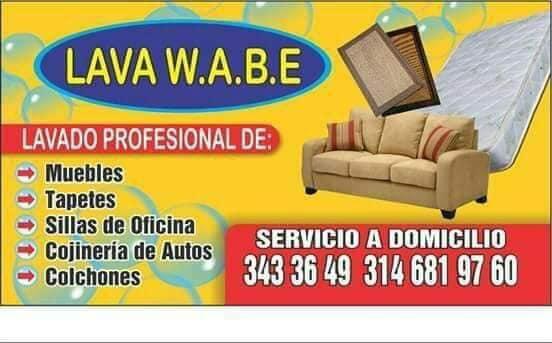 LAVADO A VAPOR DE TODO TIPO DE MUEBLES,TAPETES,