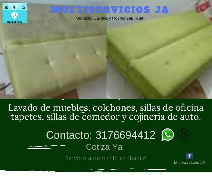 Lavado Profesional de Muebles