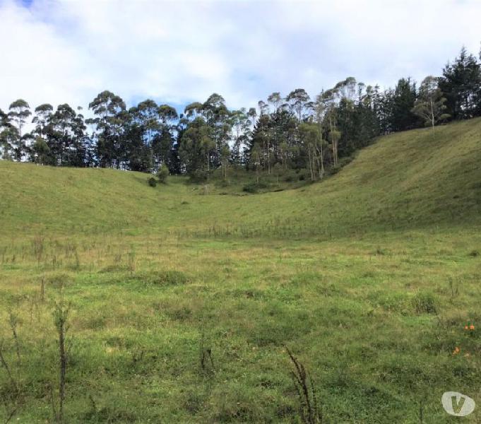 Lote en El Retiro vereda El Chuscal