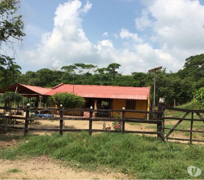 SE VENDE FINCA 43 HÉCTAREAS COMPLETA EN PIOJO