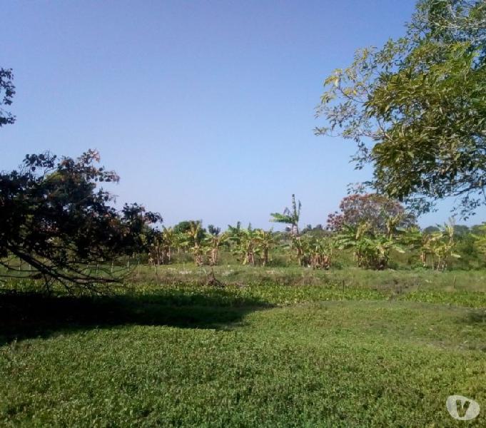 SE VENDE LOTE DE 14 HÉCTAREAS PUENTE PUMAREJO CERCA AL RIO