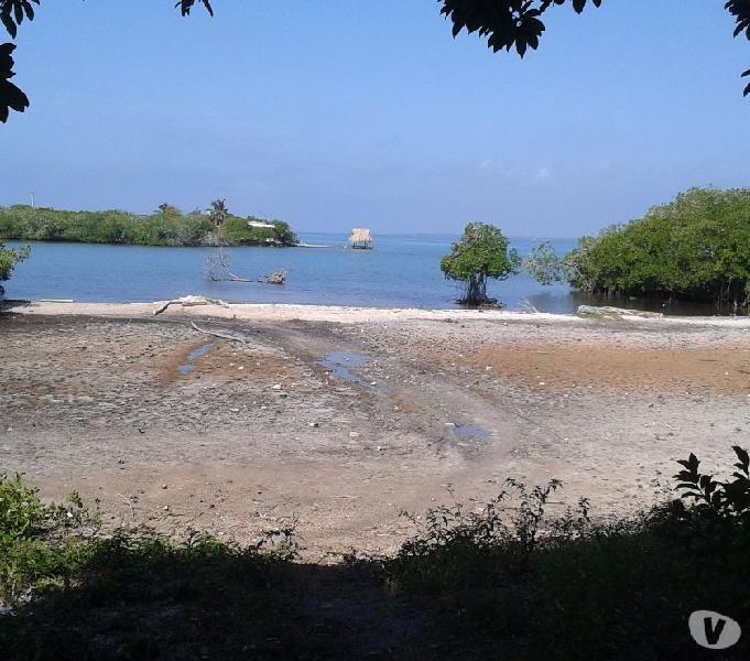 SE VENDEN 14 HECTAREAS EN ISLA BARU BOLIVAR CARTAGENA