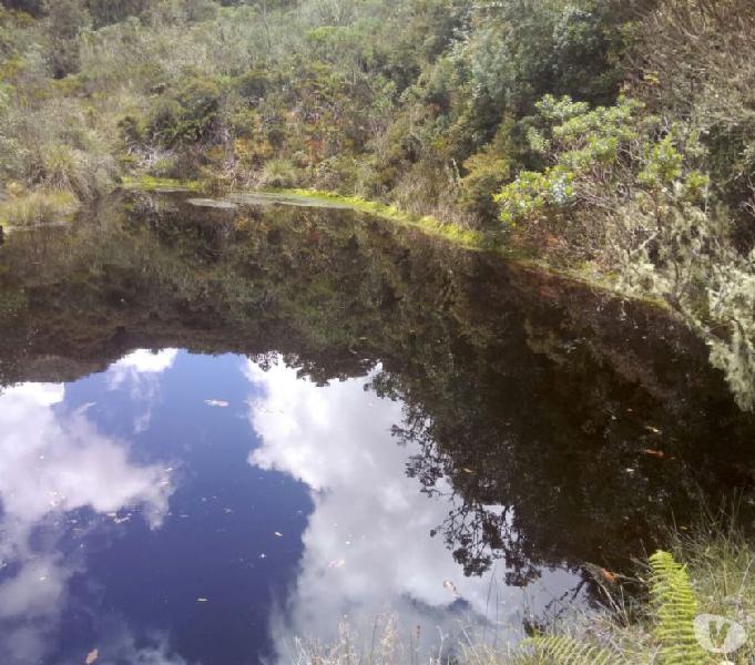 VENDO ESPECTACULAR FINCA DE 15 HECTAREAS EN GUATAVITA