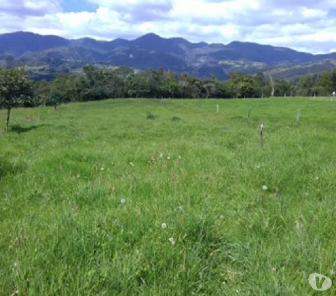 VENDO FINCA 4 FANEGADAS EN SOTAQUIRA