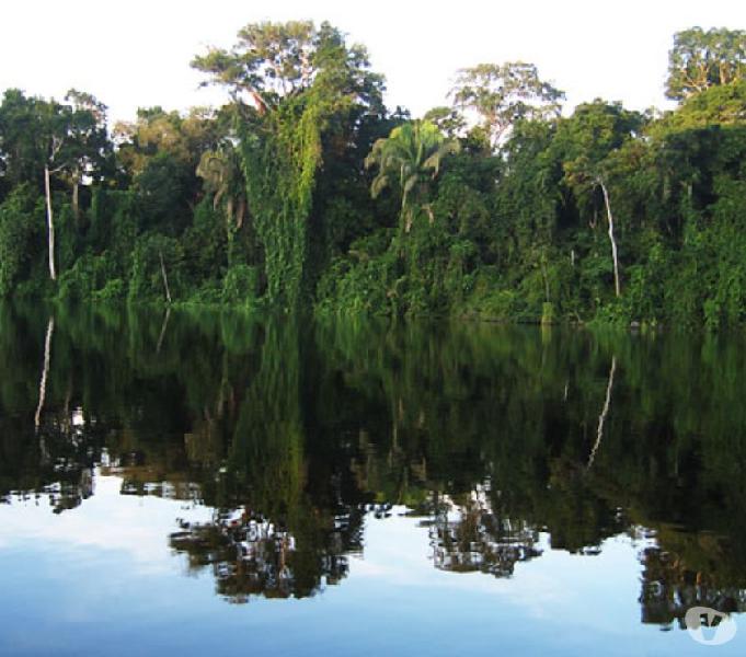 VENDO TERRENO CON RECURSOS NATURALES VALORIZACIÓN DEL 100%