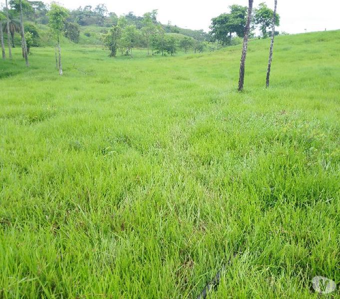 Vendo Finca Ganadera de 52 Hectáreas Cerca A La UNIPAZ.