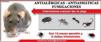 control de plagas antiasmaticas y antialergicas c.a