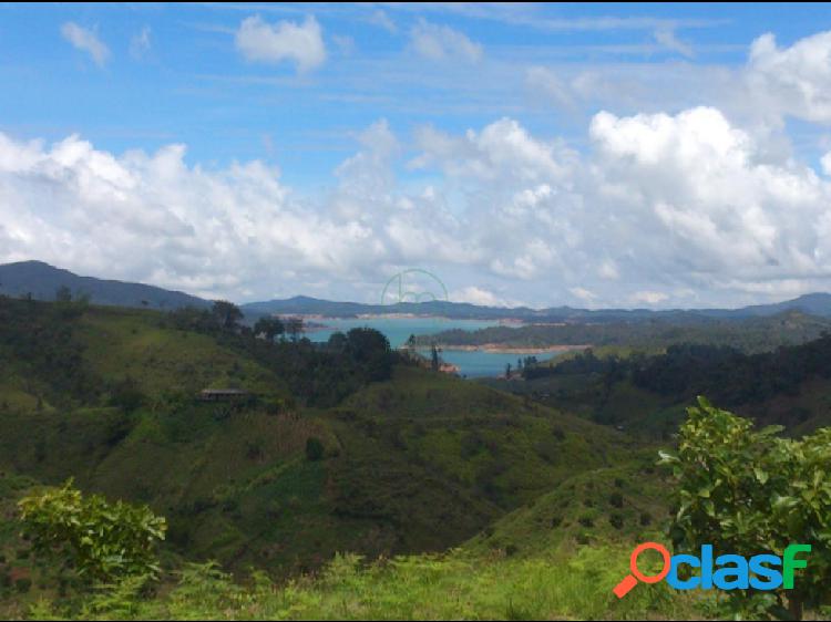 En venta Finca con cultivo aguacate en El Peñol