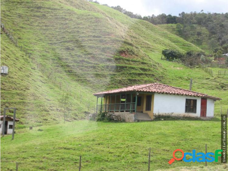 FINCA EN SAN PEDRO DE LOS MILAGROS SE VENDE