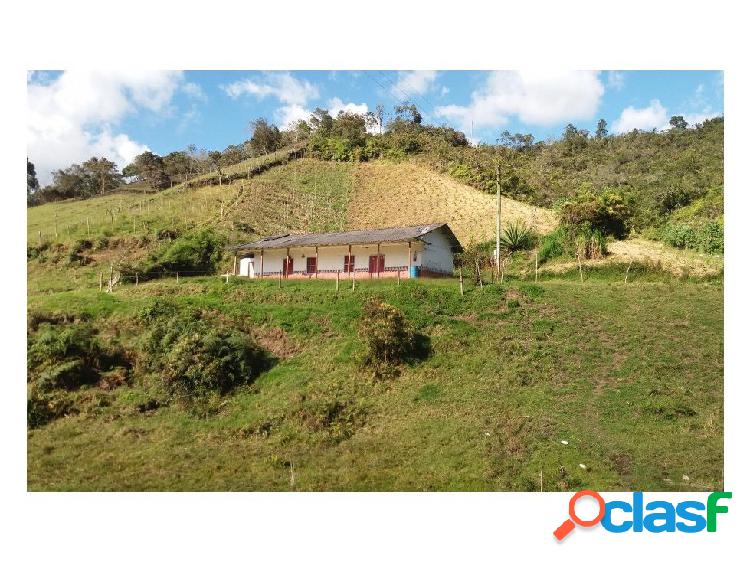 FINCA EN SAN VICENTE 80 MIL METROS 380 MILLONES