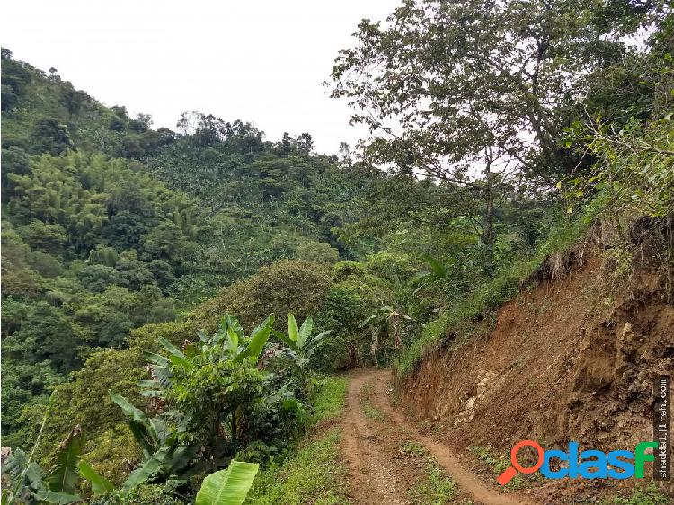 FINCA en VENTA en el VALLE para Aguacate