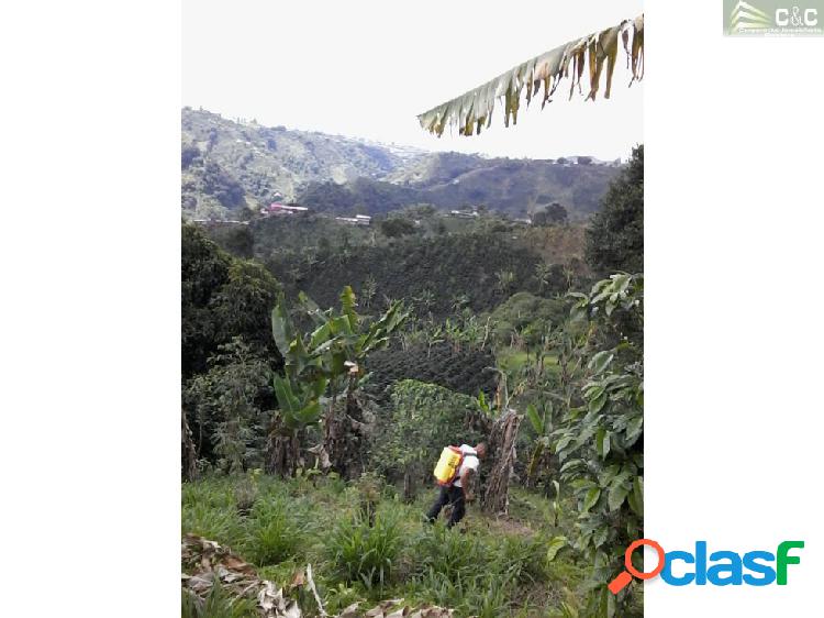FInca en venta Risaralda 90449-0
