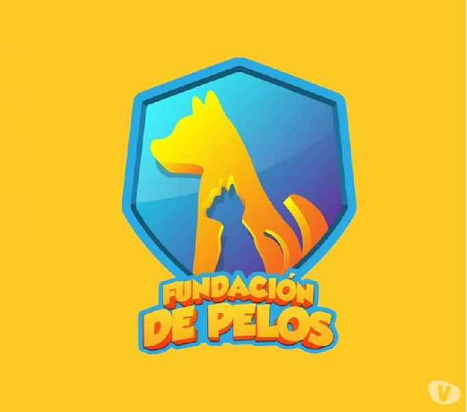 FUNDACION DE PELOS