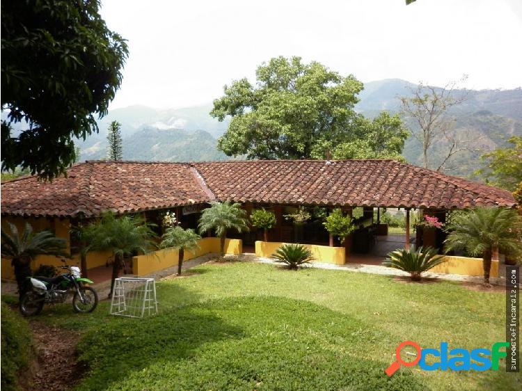 Finca Suroeste Antioqueño Codigo 113737 S1618