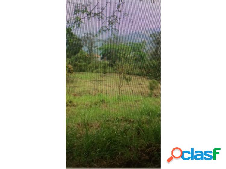 Finca en Venta Mesa Cundinamarca 90487-0