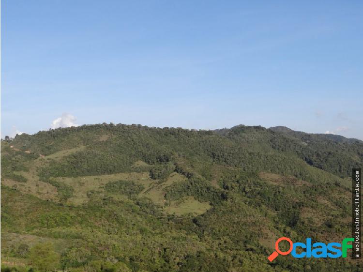 Finca en venta 320 hectáreas Abejorral Antioquia