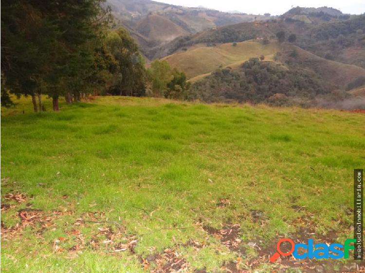 Finca en venta 80 hectáreas Abejorral Antioquia