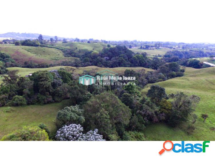 Finca en venta en Filandia