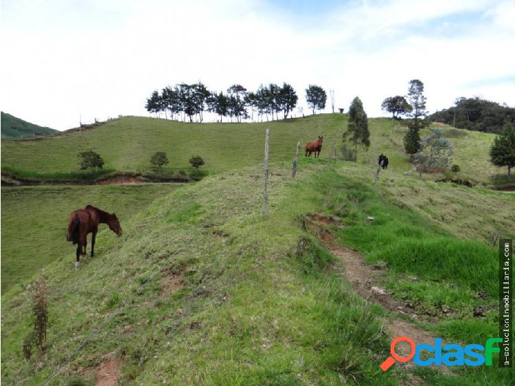 Finca en venta en la unión Antioquia 9 hectáreas