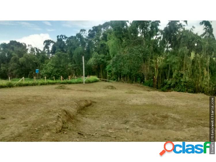 LOTE EN CIRCASIA