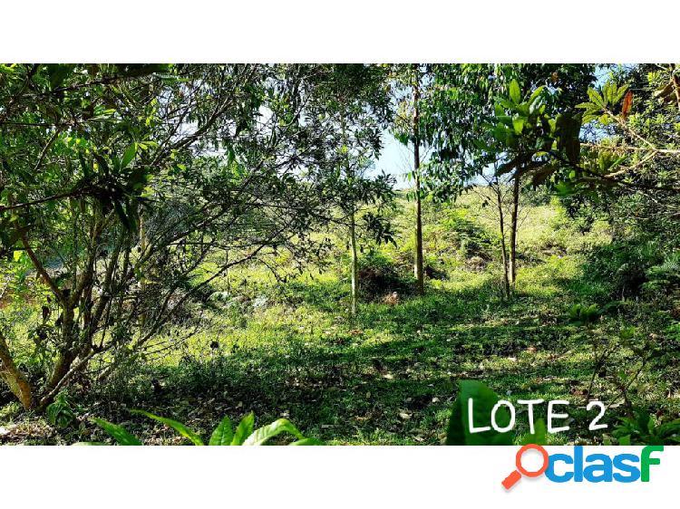 LOTE SANTUARIO 7.644 METROS 295 MILLONES