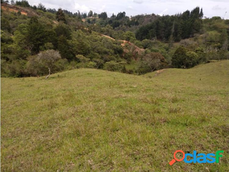 LOTE TERRENO RIONEGRO 9.800 MTS 392 MILLONES