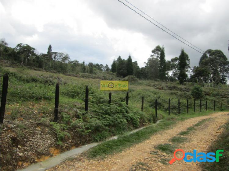 Lote Independiente en VENTA en GUARNE Autopista