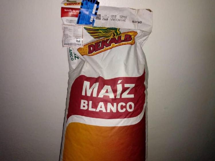 Maiz Blanco
