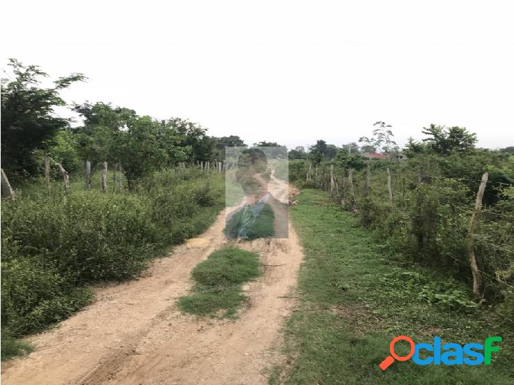 TERRENO CAMPESTRE ARJONA