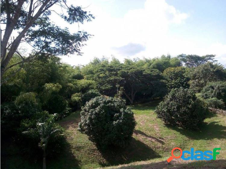 VENDO LOTE CERRITO, PEREIRA