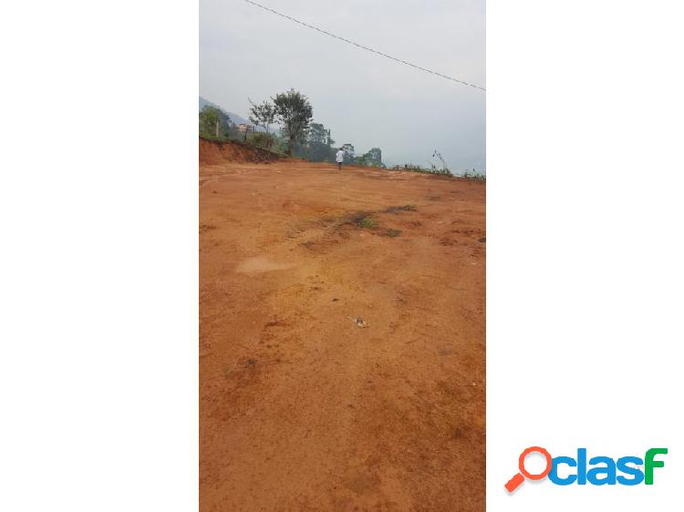 VENDO LOTE EN BARBOSA SECTOR AGRICOLA, CON PINOS