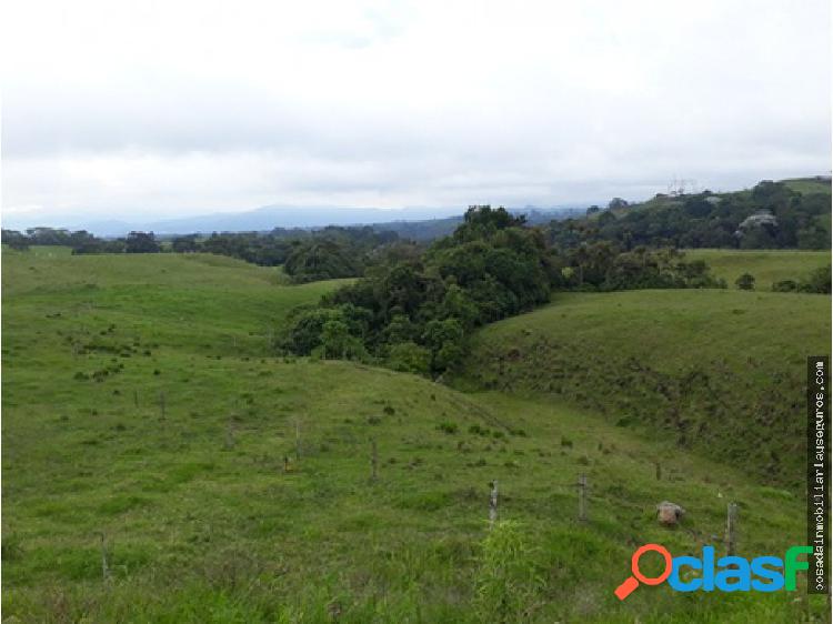 VENDO LOTE POTRERO FILANDIA QUINDIO