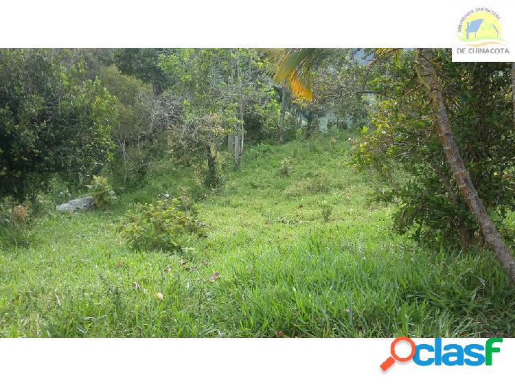 VENPERMUTO FINCA DE 37 HECTAREAS