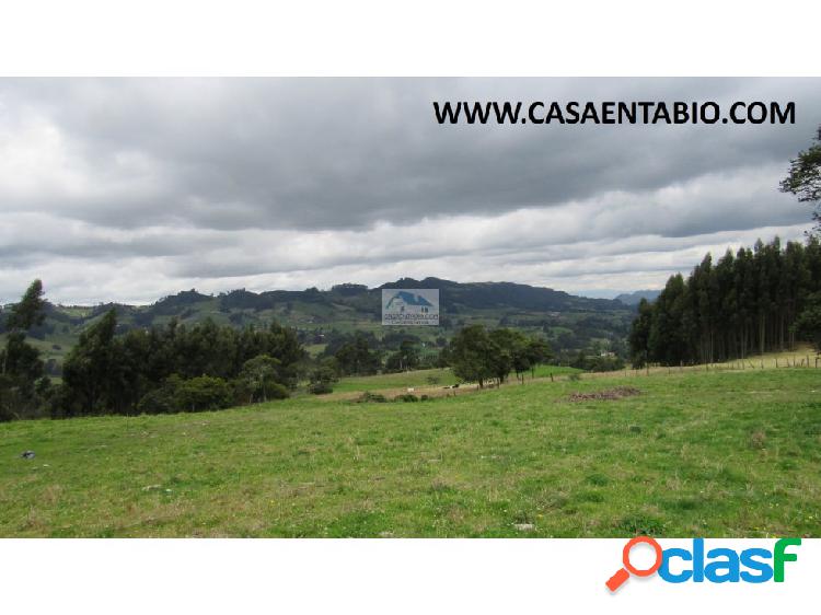 Vendo Finca 16.000 mts en San Jorge Zipaquirá