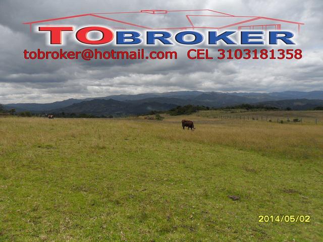 Vendo Finca De 2.5 Hectáreas