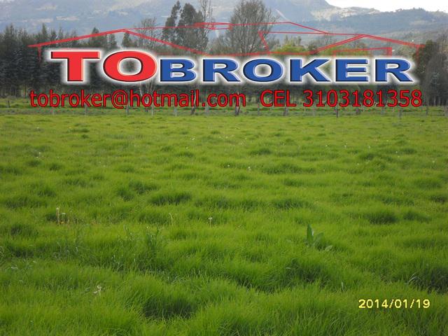 Vendo Finca de 16.5 Fanegadas en Ubate