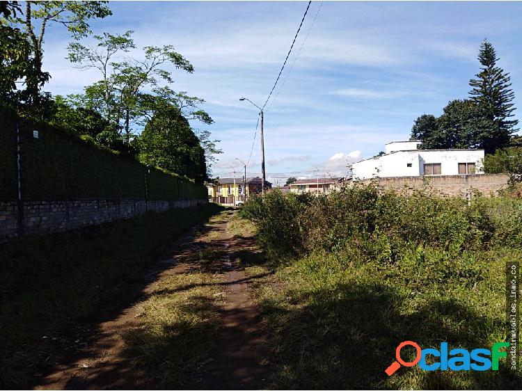 Vendo Lote Pino Pardo Popayán 175 m2