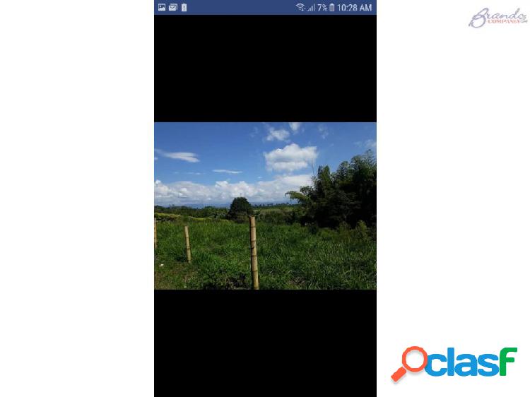 Venta Lote Las Margaritas Arauca Caldas