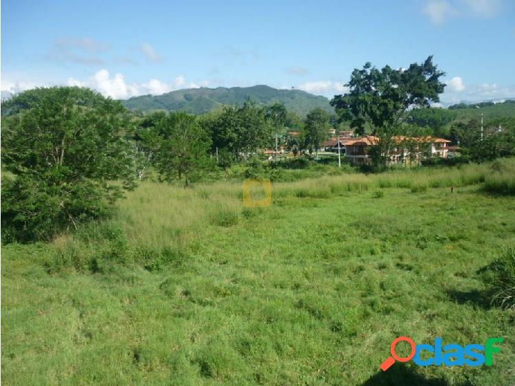 Venta Lote Santagueda, Palestina