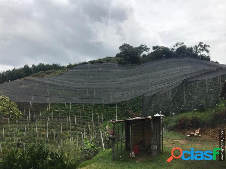 Venta de finca en La Ceja vereda El Guaico