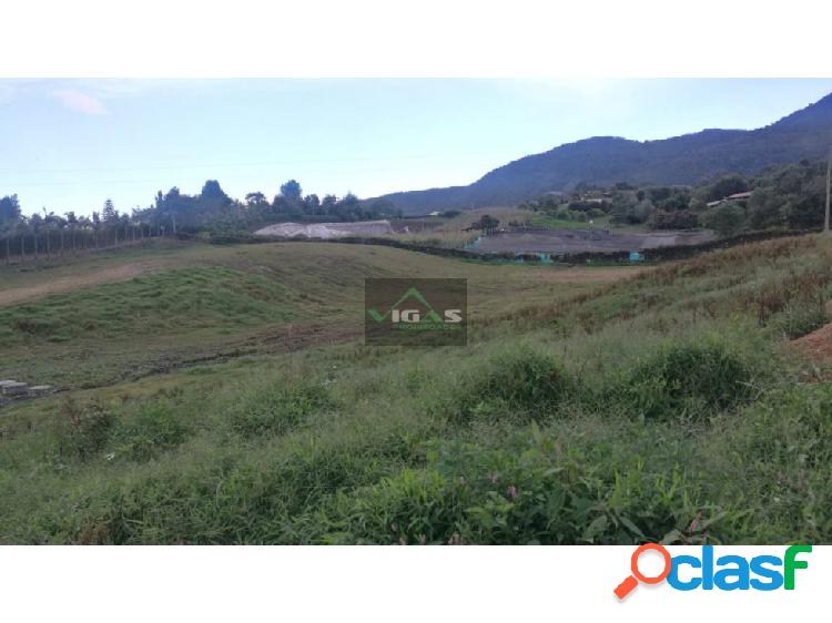 Venta de lote en el Carmen de Viboral