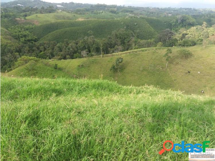 Venta finca entre Quimbaya y Alcala