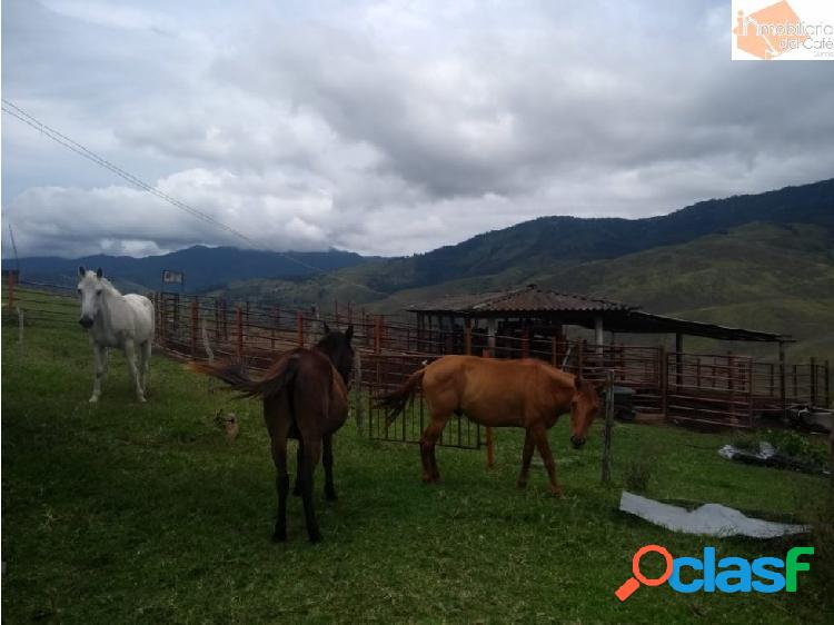 venta finca versalles y el dovio valle del cauca