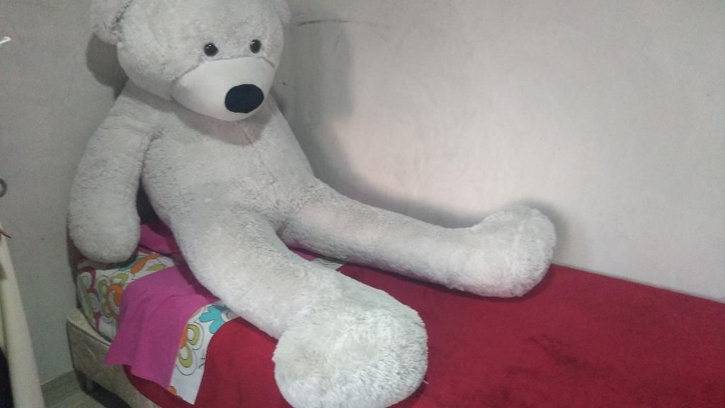 Peluche