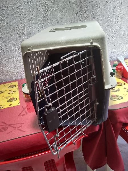 Cajon para Viajar Perro