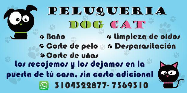 Estética de perros y gatos